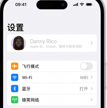 大化appleID维修服务iPhone设置中Apple ID显示为灰色无法使用 