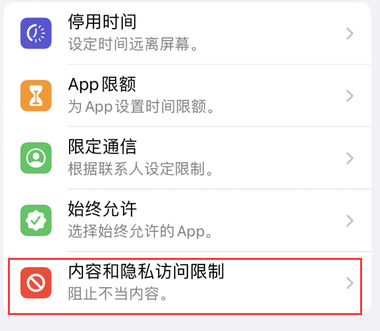 大化appleID维修服务iPhone设置中Apple ID显示为灰色无法使用