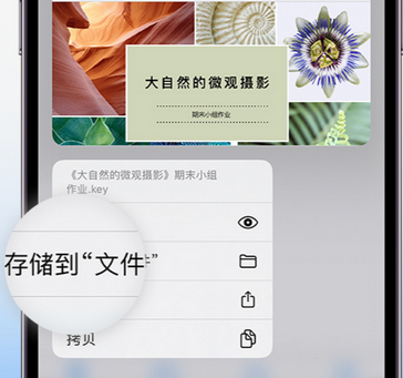 大化apple维修中心分享iPhone文件应用中存储和找到下载文件