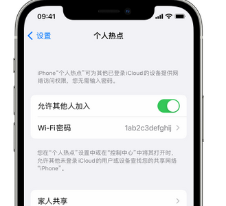 大化apple服务站点分享iPhone上个人热点丢失了怎么办 