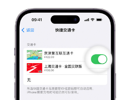 大化apple维修点分享iPhone上更换Apple Pay快捷交通卡手绘卡面 