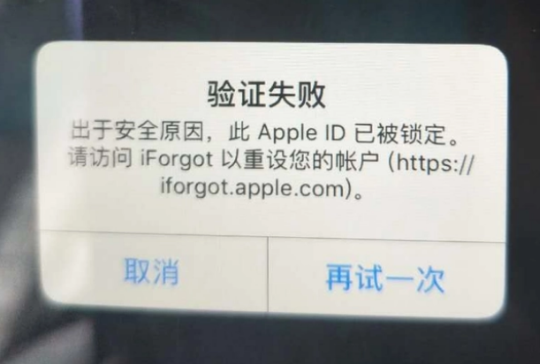 大化iPhone维修分享iPhone上正常登录或使用AppleID怎么办 