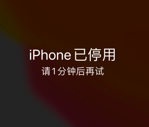 大化苹果手机维修分享:iPhone 显示“不可用”或“已停用”怎么办？还能保留数据吗？ 