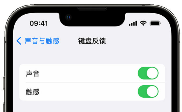 大化苹果手机维修分享iPhone 14触感键盘使用方法 