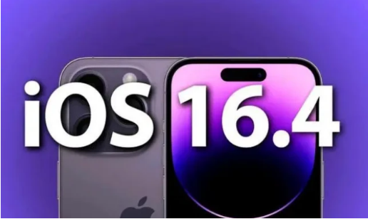 大化苹果14维修分享：iPhone14可以升级iOS16.4beta2吗？ 