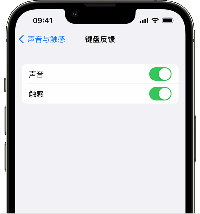 大化苹果14维修店分享如何在 iPhone 14 机型中使用触感键盘 