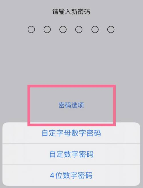 大化苹果14维修分享iPhone 14plus设置密码的方法 