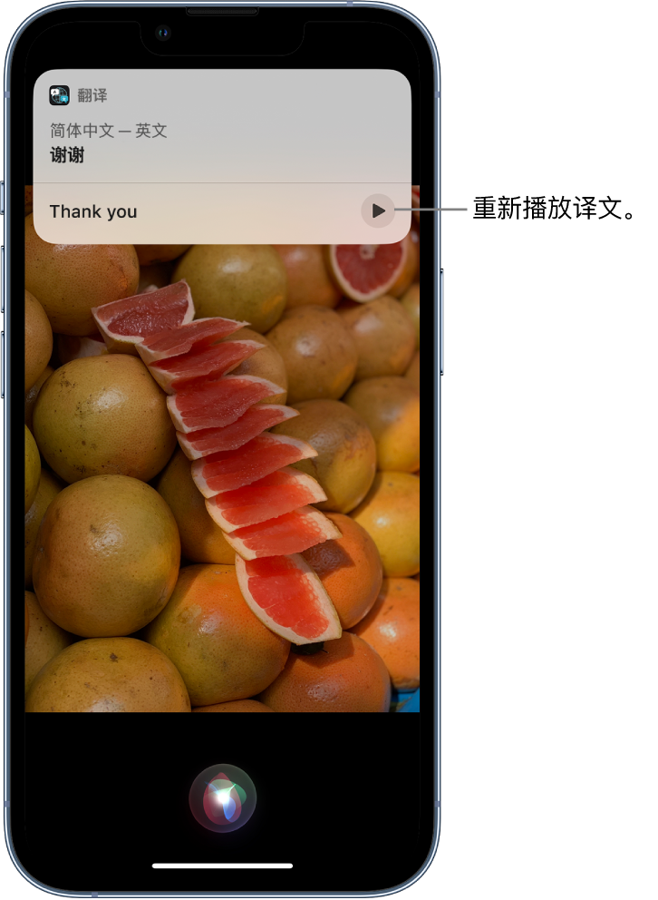 大化苹果14维修分享 iPhone 14 机型中使用 Siri：了解 Siri 能帮你做什么 