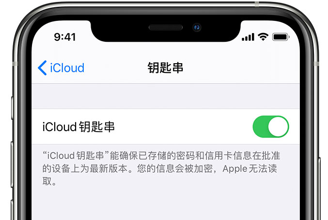 大化苹果手机维修分享在 iPhone 上开启 iCloud 钥匙串之后会储存哪些信息 