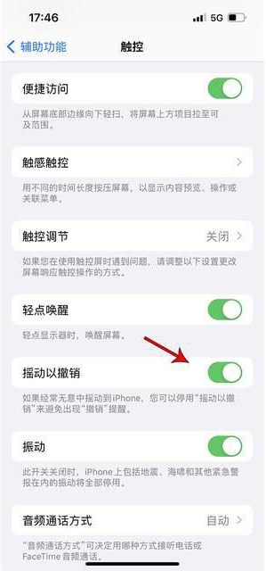 大化苹果手机维修分享iPhone手机如何设置摇一摇删除文字 