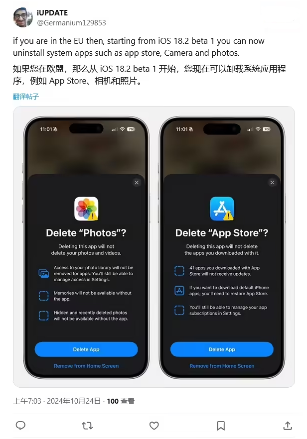 大化苹果手机维修分享iOS 18.2 支持删除 App Store 应用商店 